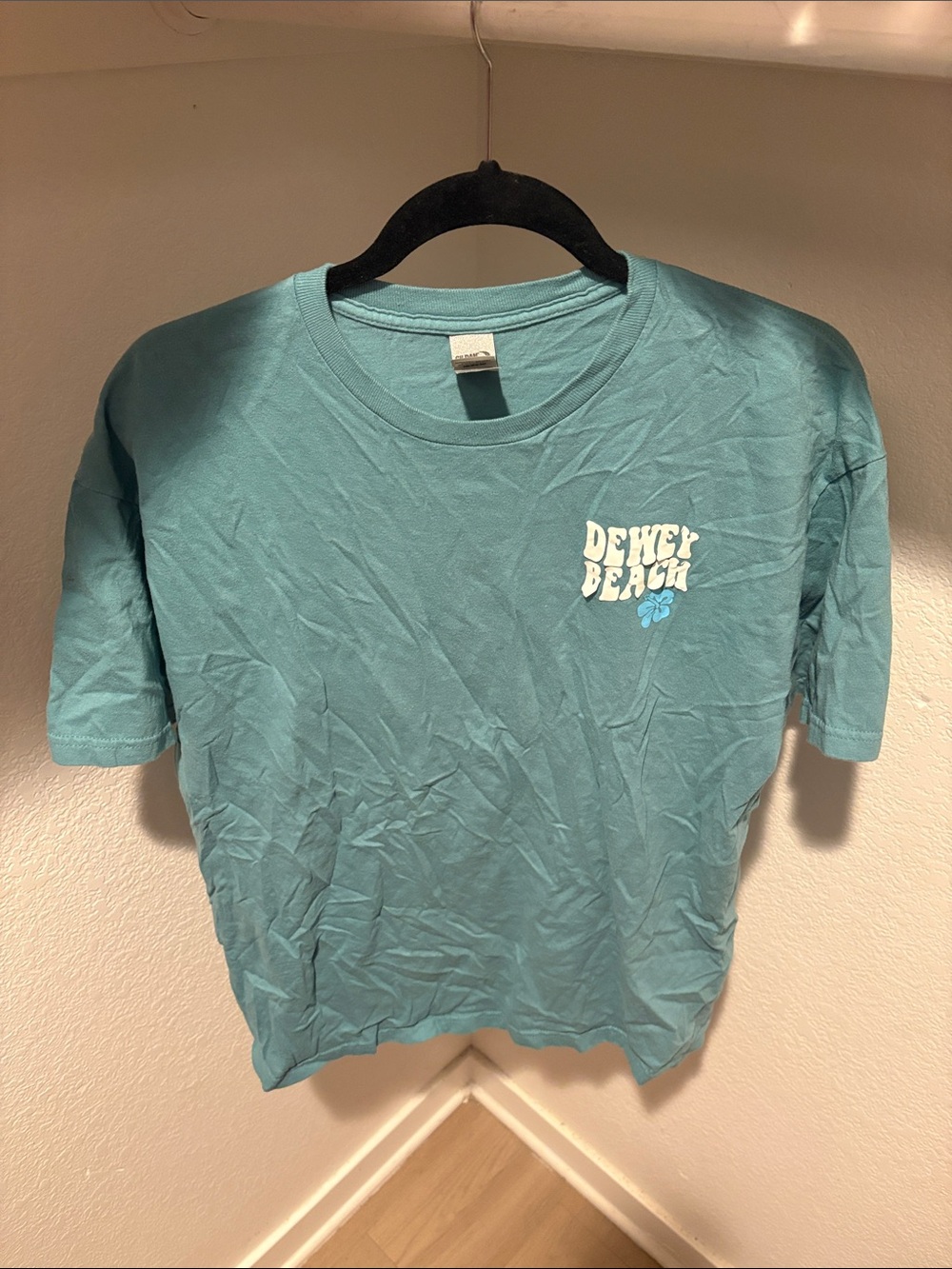 Gildan Teal Dewey Beach Short-Sleeve Tee
